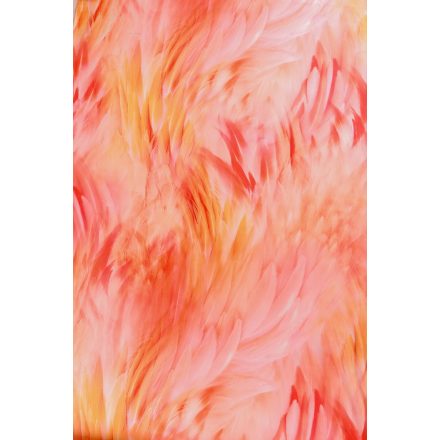 Silky-cavalli.coral